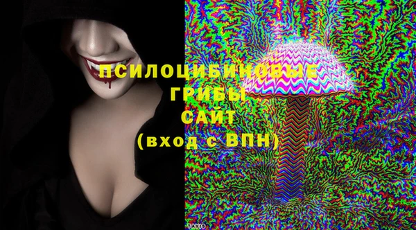 винт Армянск