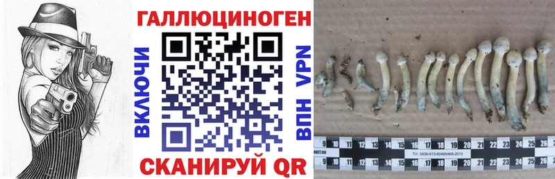 купить   Биробиджан  Галлюциногенные грибы ЛСД 