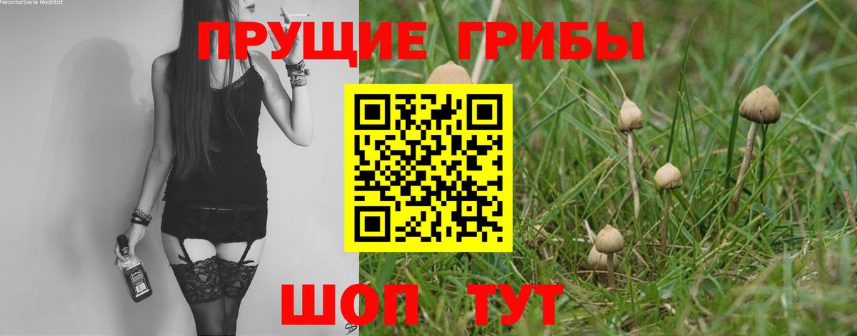 Псилоцибиновые грибы Psilocybine cubensis  как найти закладки  Биробиджан  Галлюциногенные грибы Psilocybine cubensis  Вход с VPN 