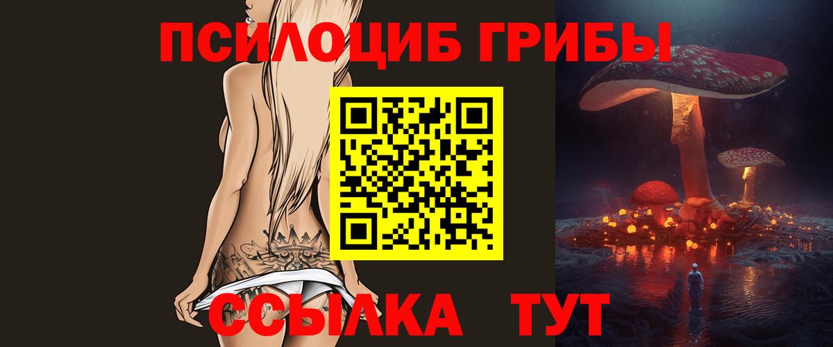 Галлюциногенные грибы Cubensis Биробиджан